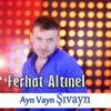 About Ayn Vayn Şıvayn Song