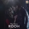 About Rooh Song