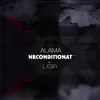 About Neconditionat Song