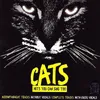 About Macavity: The Mystery Cat-Guide Vocals Song