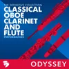 About Flute Sonata in D Major, HWV 378: II. Allegro Song