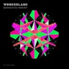 About Wonderland Song