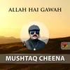 About Allah Hai Gawah Song