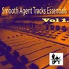 About The Test-Sean Smith Smooth Agent Remix Song