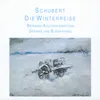 Winterreise, D.911: VII. Auf dem Flusse