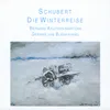 About Winterreise, D.911: XX. Der Wegweiser Song