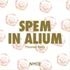 About Spem in Alium Song