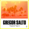 Tropical Tips 5 Album Mix-Gregor Salto Continuous DJ Mix