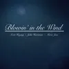 About Blowin' in the Wind Song