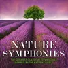 About Symphony No. 6 in F Major, Op. 68 "Pastorale": I. Allegro ma non troppo (Awakening of Happy Feelings on Arriving in the Country) Song