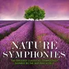 Symphony No. 9 in E Minor, Op. 95 "From the New World": II. Largo