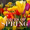 Voices of Spring Waltz, Op. 410