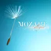 About Divertimento in B-Flat Major, K. 137 "Salzburg Symphony No. 2": II. Allegro di molto Song