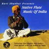 Suite for Two Sitars and Indian Folk Ensemble, Pt. 1