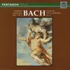 Concerto for Cembalo & Orchestra No. 1 in D Minor, BWV 1052: II. Adagio