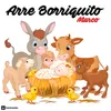 About Arre Borriquito-Aria Mix Song