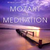 Divertimento No. 17 in D Major, K. 334: II. Theme with Variations - Andante