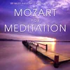 About Don Giovanni, K. 527, Act II: "Vedrai, carino"-Instrumental Version Song