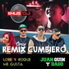 Tengo Todo Lo Que Quieren las Wachas-Emus DJ Remix