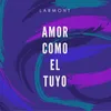 About Amor Como El Tuyo Song