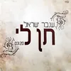 About תן לי Song