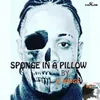 Sponge in a Pillow