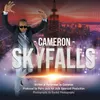 About Skyfalls Song