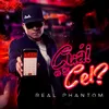 About Cual Es Tu Cel? Song