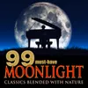 About Midnight Lake & Piano Sonata No. 14 in C-Sharp Minor, Op. 27 No. 2 "Moonlight Sonata": I. Adagio sostenuto Song