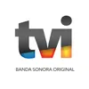 About Tvi2017loop Separador Transito 2 Song