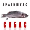 Сибас (инструментальная версия)