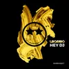 Hey DJ-Original Big Room Mix