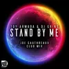 About Stand by Me-Joe Gauthreaux Club Mix Song