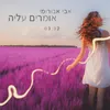 About אומרים עליה Song