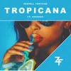 About Tropicana Song