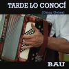 About Tarde Lo Conocí Song