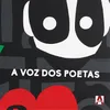 About O Pássaro Song