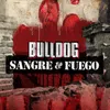 About Sangre y Fuego Song