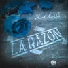 La Razon-Jorge Ojeda Freestyle Radio Instrumental