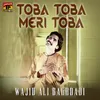 About Toba Toba Meri Toba Song