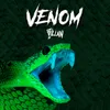 About Venom Song