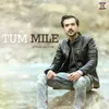 About Tum Mile Song