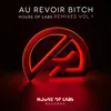 Au Revoir Bitch-Gsp Remix