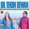 About Dil Tekon Dewan Song