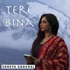 About Tere Bina Song