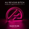 Au Revoir Bitch-Johnny Bass Remix