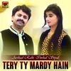 About Tery Ty Mardy Hain Song