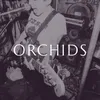 About Orchids Song