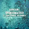 About Underwater Song