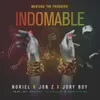 About Indomable Song